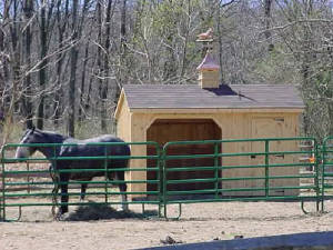 Image of Horse In Gated Wooden Horse Stalls Fleetwood, PA  - Eastern Building Products